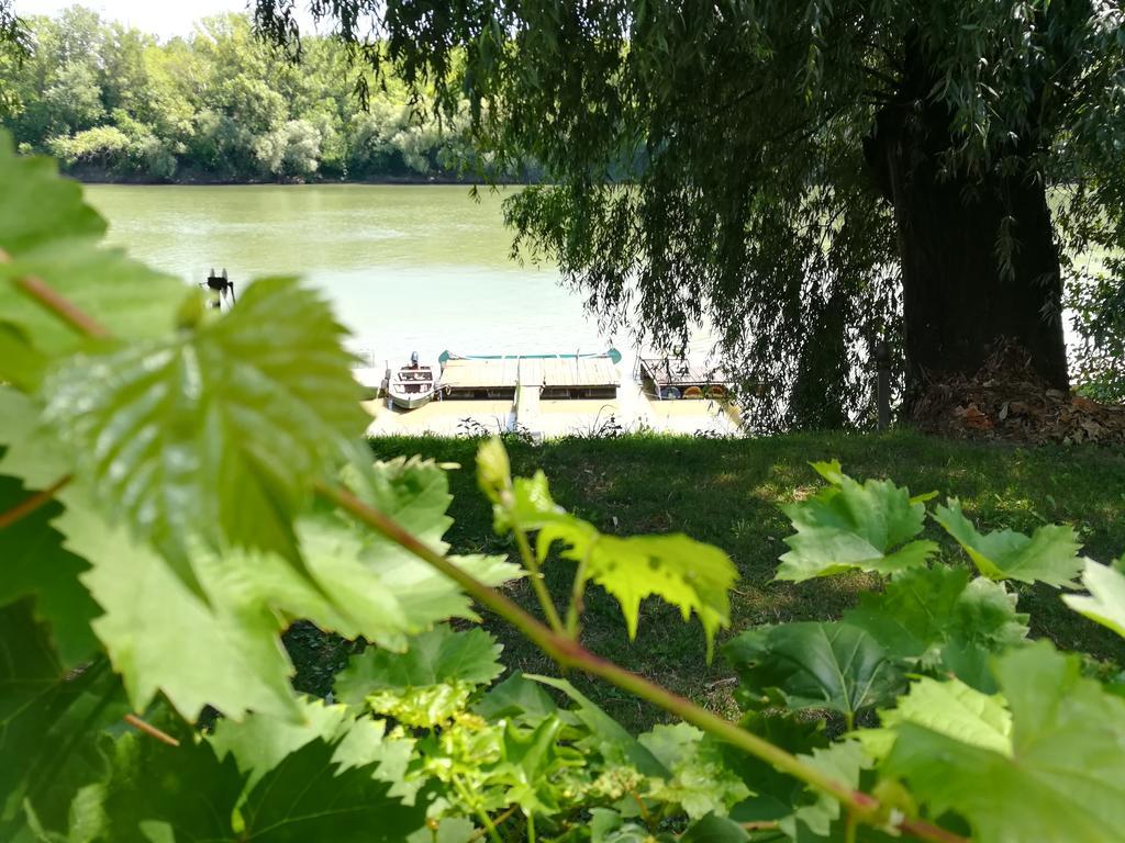 Tiszavirág Vendégház Szeged Exterior foto